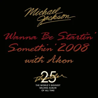 Wanna Be Startin' Somethin' 2008 With Akon