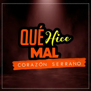 Qué Hice Mal