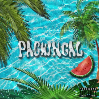 Pachingal (Almighty Remix)