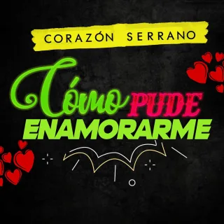 Cómo Pude Enamorarme