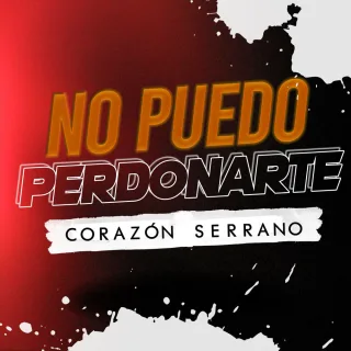 No Puedo Perdonarte