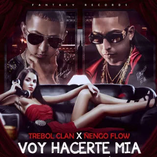 Voy Hacerte Mia (Remix)