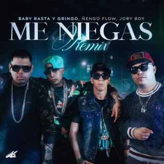 Me Niegas (Remix)