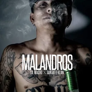 Malandros