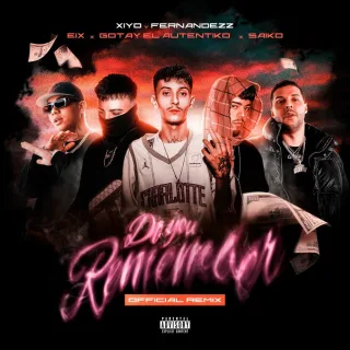 Do You Remember (Remix)