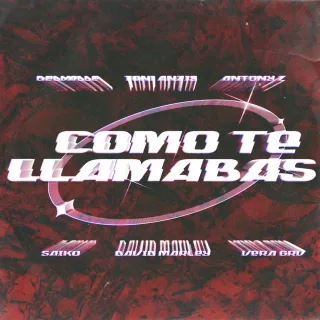 COMO TE LLAMABAS? (feat. Vera GRV, Delvalle & Toni Anzis)