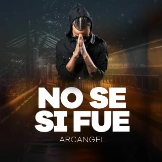 No Se Si Fue