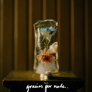 Gracias por Nada