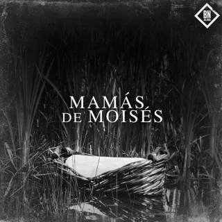 Mamás de Moisés