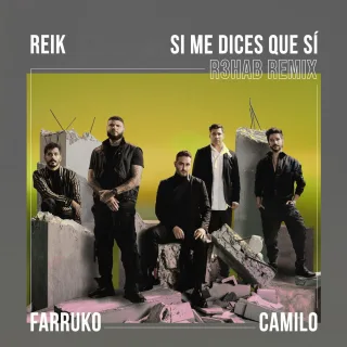 Si Me Dices Que Sí (feat. Camilo) (R3HAB Remix)
