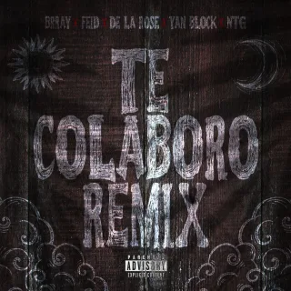 Te Colaboro (Remix)