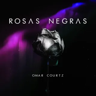 Rosas Negras