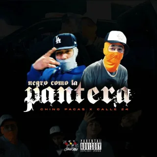 Negro Como La Pantera