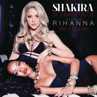 Can't Remember to Forget You (feat. Rihanna) (Fedde Le Grand Remix)