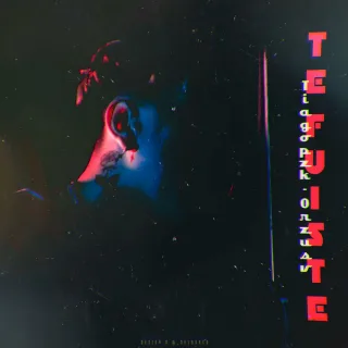 Te Fuiste