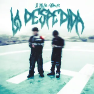 Despedida
