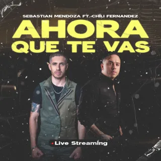 Ahora Que Te Vas (Live Streaming)