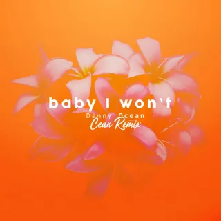 Baby I Won't (Cean Remix)