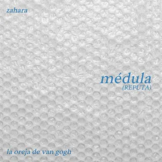 médula (REPUTA)