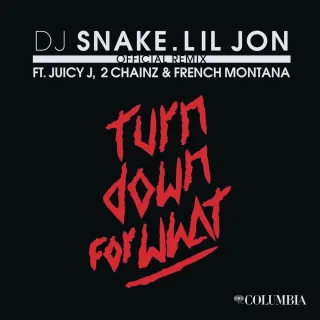Turn Down for What (feat. Juicy J, 2 Chainz & French Montana) (Official Remix)