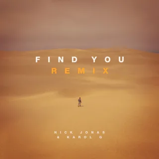 Find You (Remix)