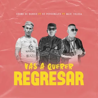 Vas a Querer Regresar
