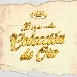 20 Súper Éxitos Colección de Oro