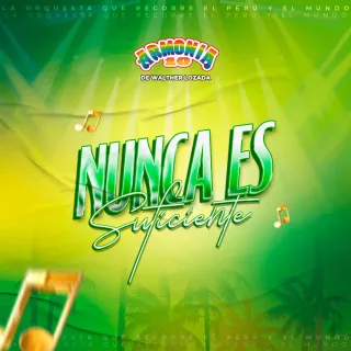 Nunca Es Suficiente