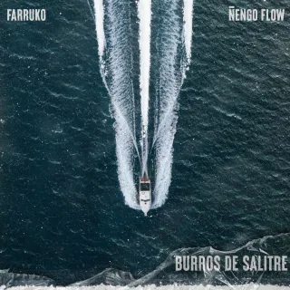 Burros de Salitre