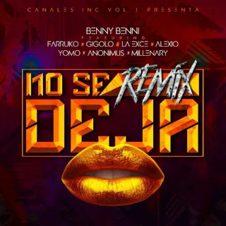 No Se Deja (Remix)