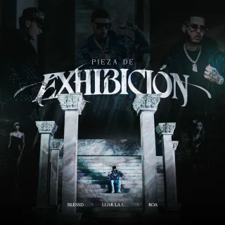 Pieza Exhibición