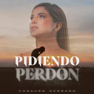 Pidiendo perdón