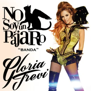 No Soy Un Pájaro (Banda)