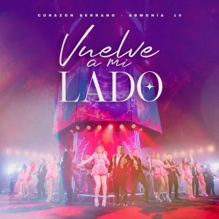 Vuelve A Mi Lado (En Vivo)