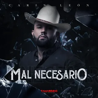 Mal Necesario
