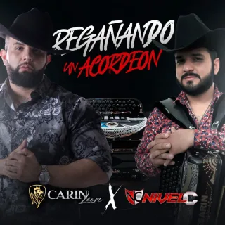 Regañando un Acordeón