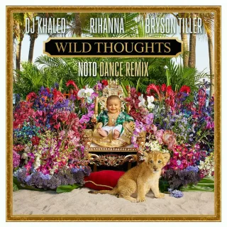 Wild Thoughts (feat. Rihanna & Bryson Tiller) (NOTD Dance Remix)