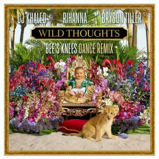 Wild Thoughts (feat. Rihanna & Bryson Tiller) (Bee's Knees Dance Remix)