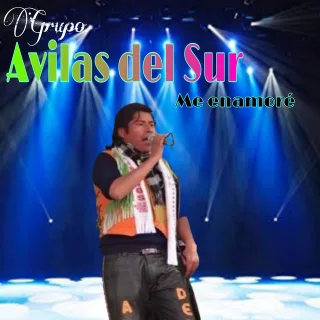 Avilas Del Sur