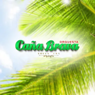 Cana Brava
