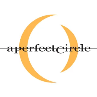 A Perfect Circle