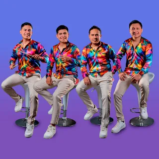Grupo V