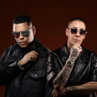 Baby Rasta Y Gringo
