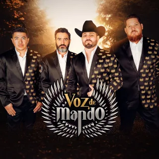 Voz de Mando