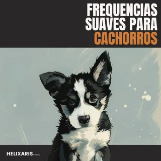 Musica para Mascotas
