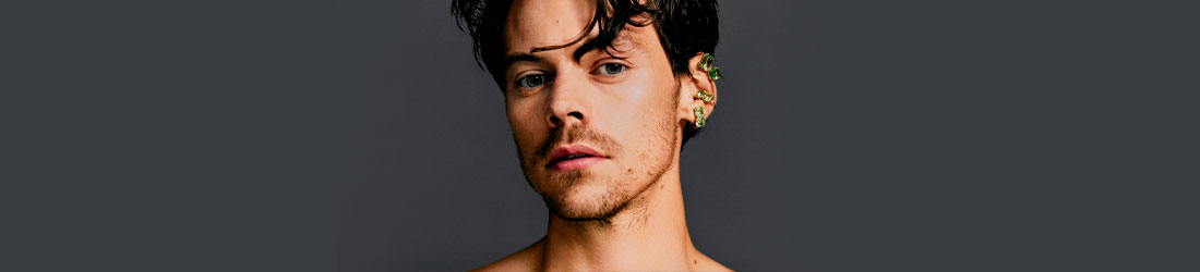Banner de Harry Styles