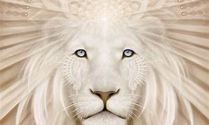 White Lion