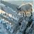 The Mountain Goat
